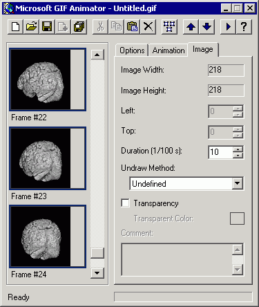 ms_animator